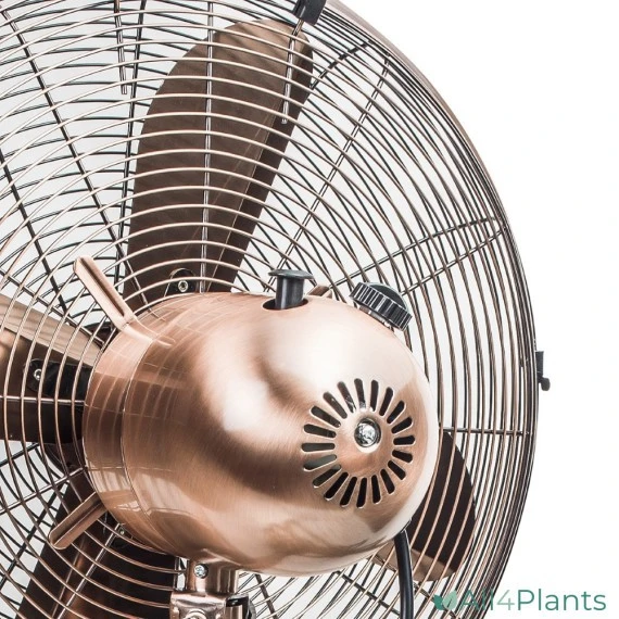 BESTRON DFS45SCO RETRO STATIEFVENTILATOR 45 CM KOPER 50 WATT 5 BESTRON DFS45SCO RETRO STATIEFVENTILATOR 45 CM KOPER 50 WATT - Afbeelding 3