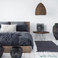 BESTRON ABOX30 BOXVENTILATOR 30 CM ANTHRACIET 50 WATT -Bestron 8712184055876 bestron abox30 boxventilator 30 cm anthraciet 50 watt platte ventilator mooi design compact