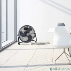 Bestron 21 Bestron -Bestron 8712184056903 bestron dfa40z vloerventilator 45cm zwart sfeerfoto kantoor 1000px